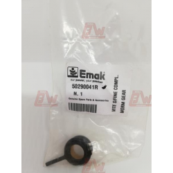 VITE SENZA FINE PER POMPA OLIO GST250 STD E CARVING