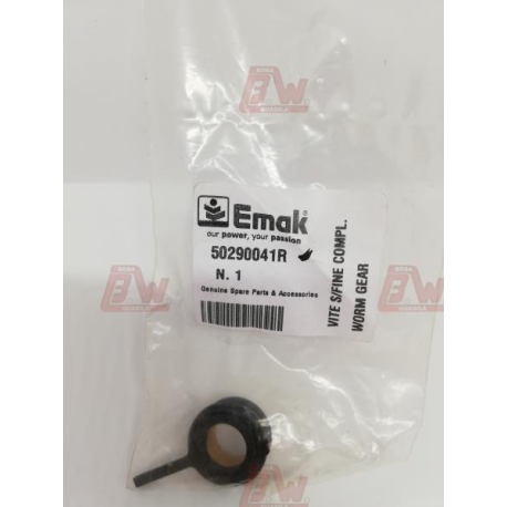 VITE SENZA FINE PER POMPA OLIO GST250 STD E CARVING